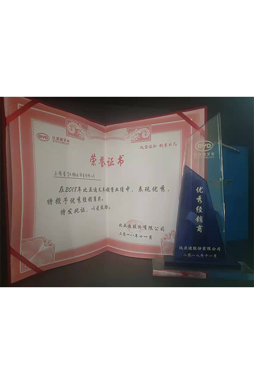 泰兴市比亚迪2018优秀经销商